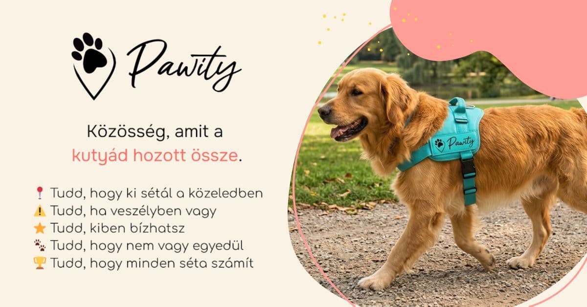 Állatok Világnapja a Pawityban: ma dupla jutifalat jár minden sétáért