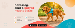 Nem vagytok egyedül, csak épp nem ugyanabban a percben sétáltok